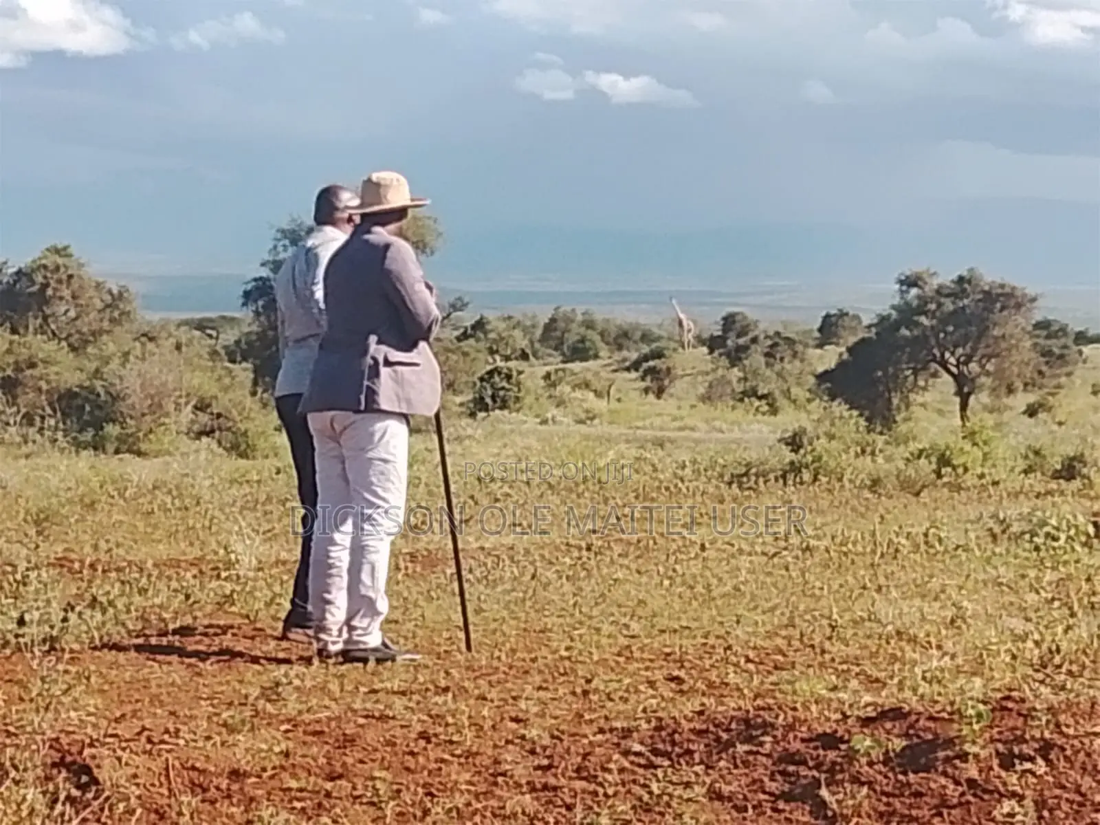 Amboseli/Kajiado 60 Arcs.