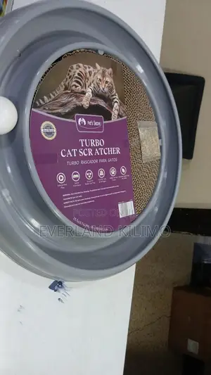 Interactive Cat Ball Track Toy
