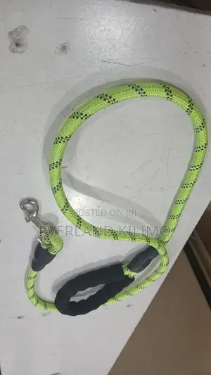Dogs Quality Strong Slip Leash Padded Handle and Highly Reflective
