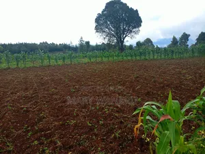 19 Acres for Sale