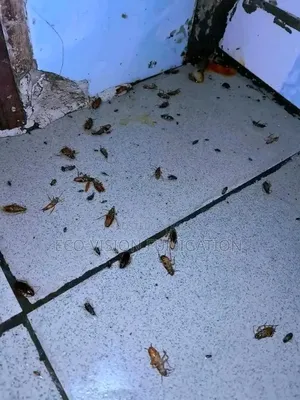Fumigation