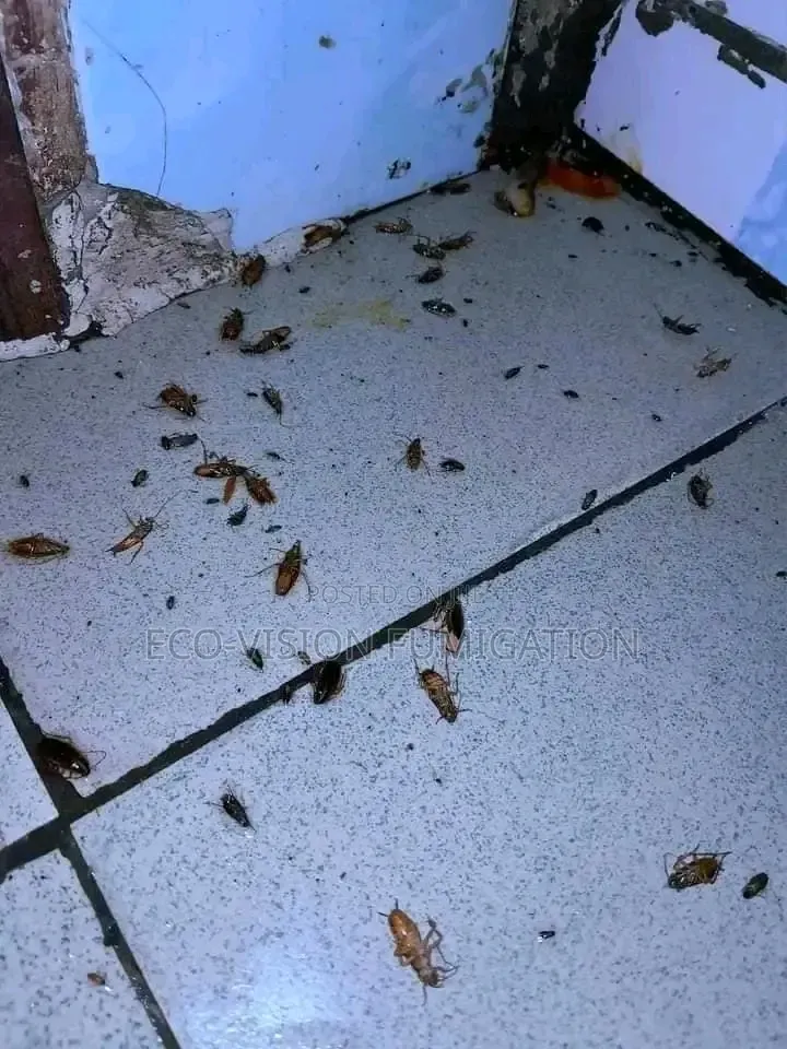 Fumigation