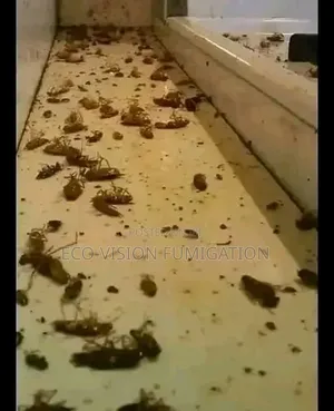 Fumigation
