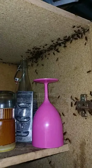 Fumigation