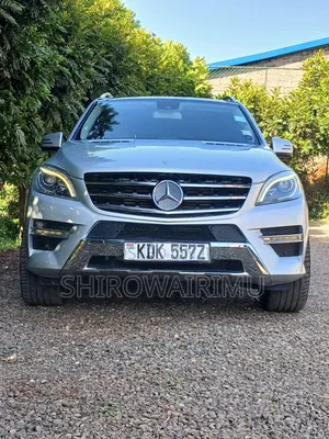 Mercedes-Benz M Class 2014 Silver