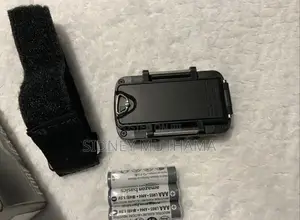 Garmin Foretrex 601