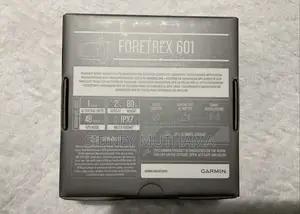 Garmin Foretrex 601