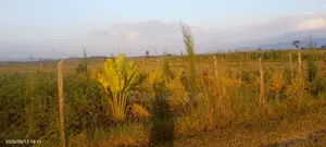 Buy and Build Ready Plot 50*100