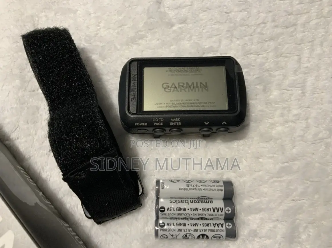 Garmin Foretrex 601