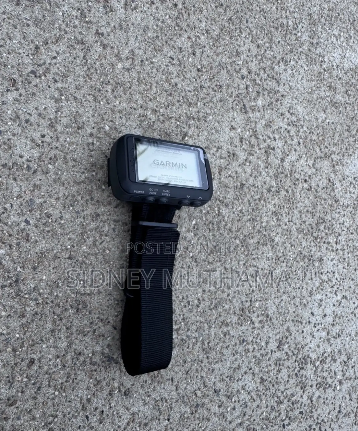 Garmin Foretrex 601
