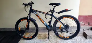 New Tanda Bicycle Orange