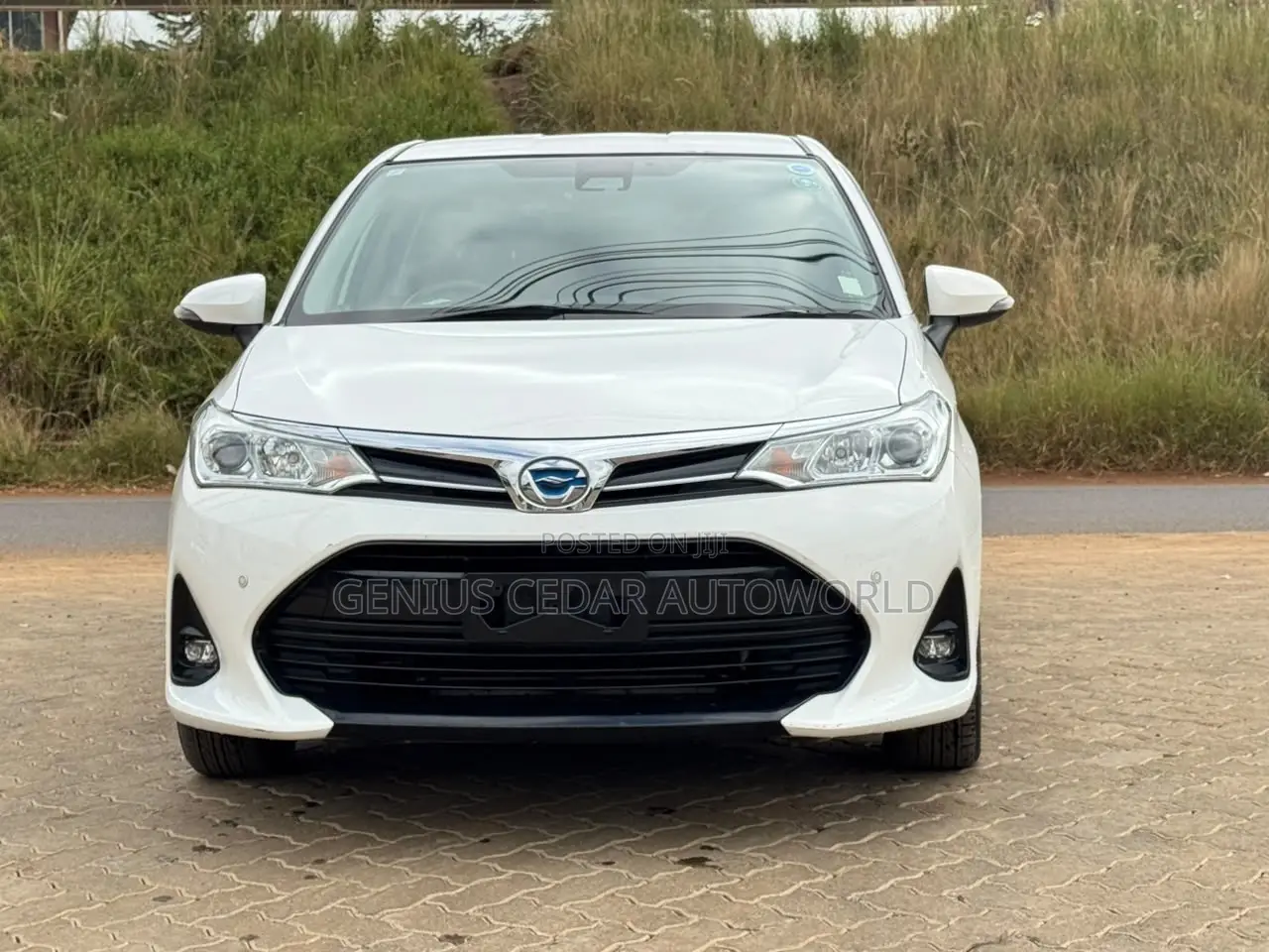Toyota Corolla Fielder 2019 White