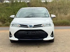 Toyota Corolla Fielder 2019 White