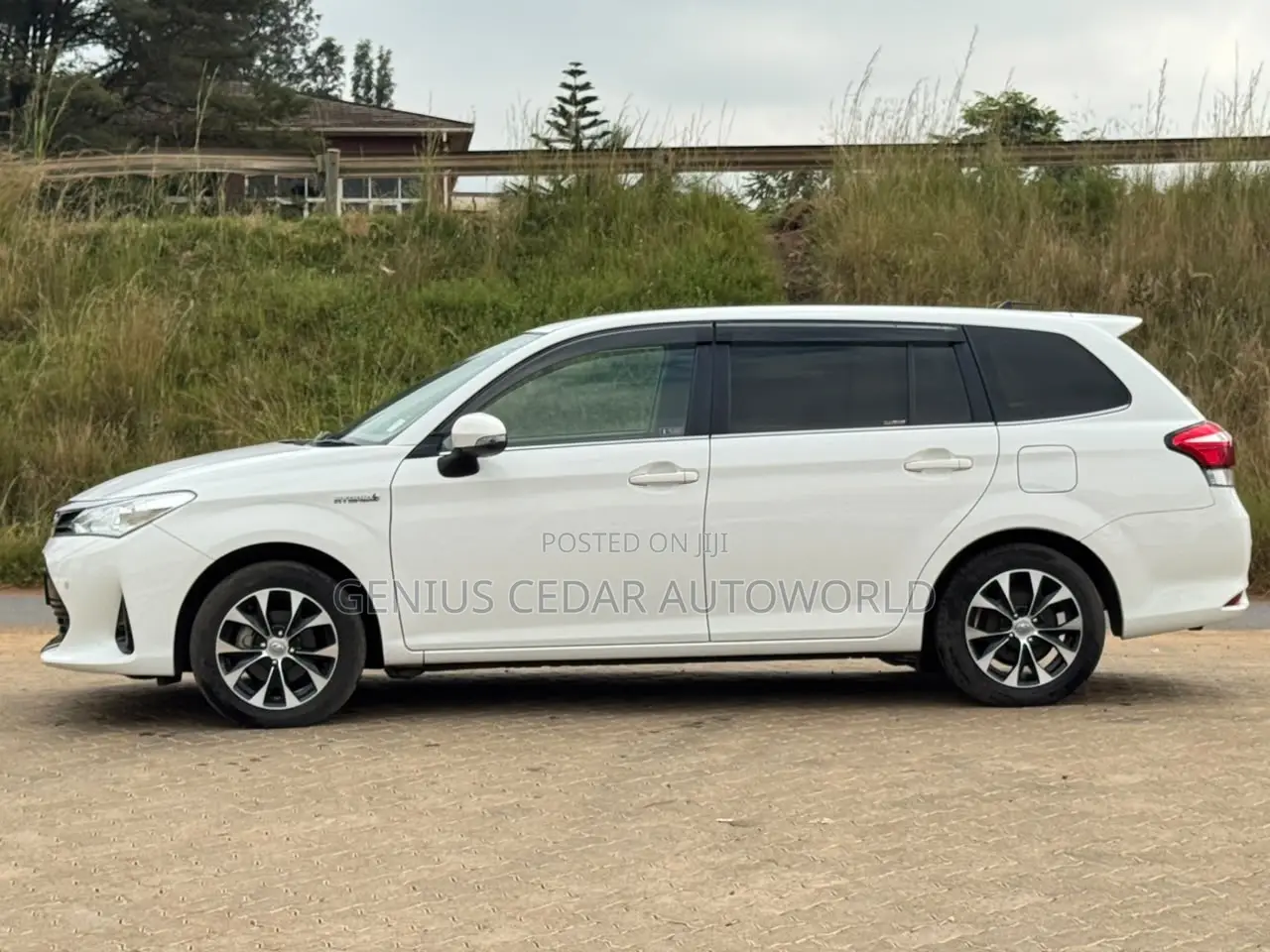 Toyota Corolla Fielder 2019 White
