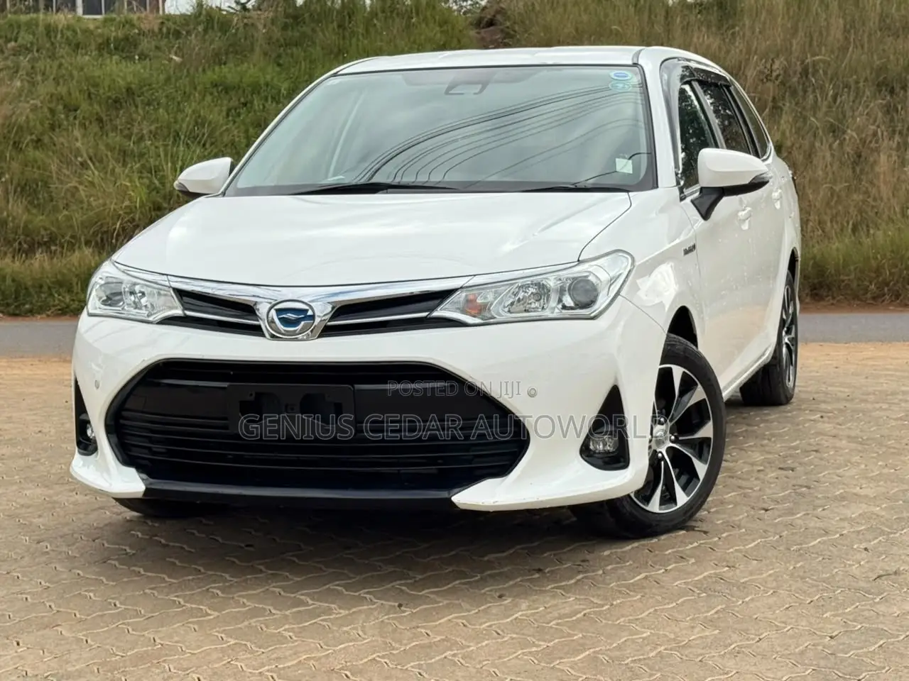 Toyota Corolla Fielder 2019 White
