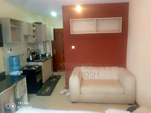 Airbnb Studios in South B