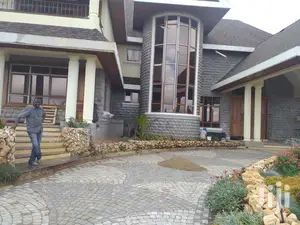 Cobblestones / Circle Stones Strong and Durable