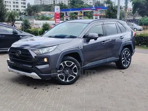 Toyota RAV4 Adventure 2019 Gray