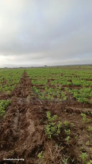 Land for Sale at Loitoktok Kimana Area