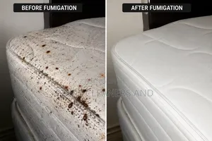 Pinky Cleaners And Fumigation