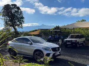 Mercedes-Benz GLE-Class 2016 Silver