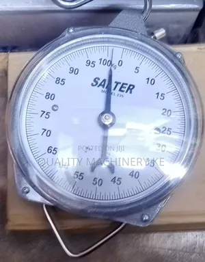 Easy to Read Salter Hanging Scale