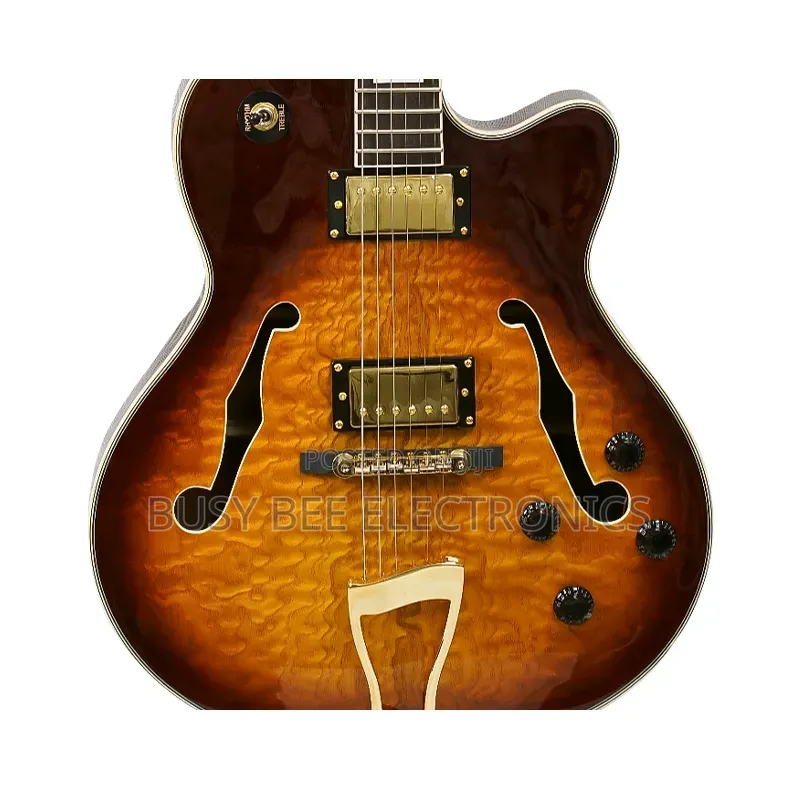 Professional 6-String Electric Jazz Guitar Hollow Body Archtop