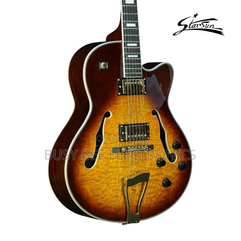 Professional 6-String Electric Jazz Guitar Hollow Body Archtop