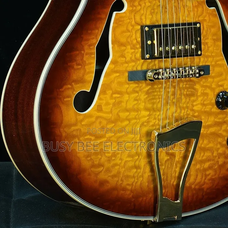 Professional 6-String Electric Jazz Guitar Hollow Body Archtop