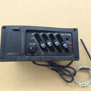 Acoustic Guitar Pickup