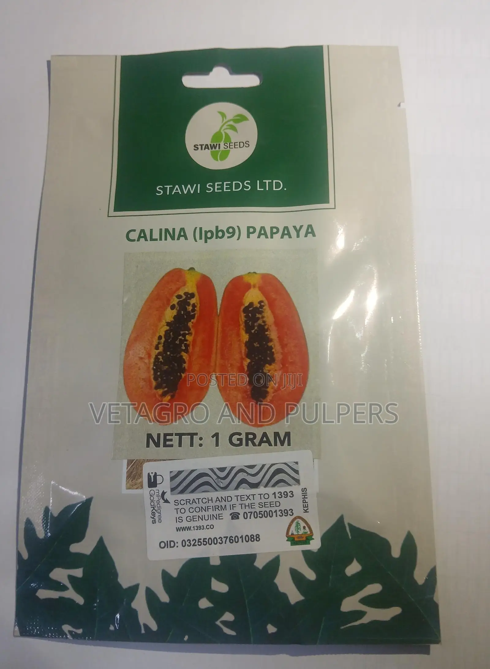 Hybrid Calina (Lpb9) Papaya