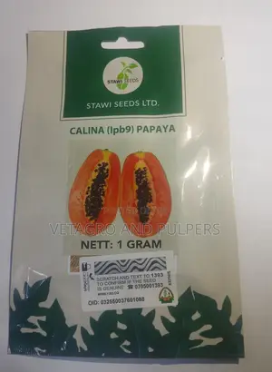 Hybrid Calina (Lpb9) Papaya