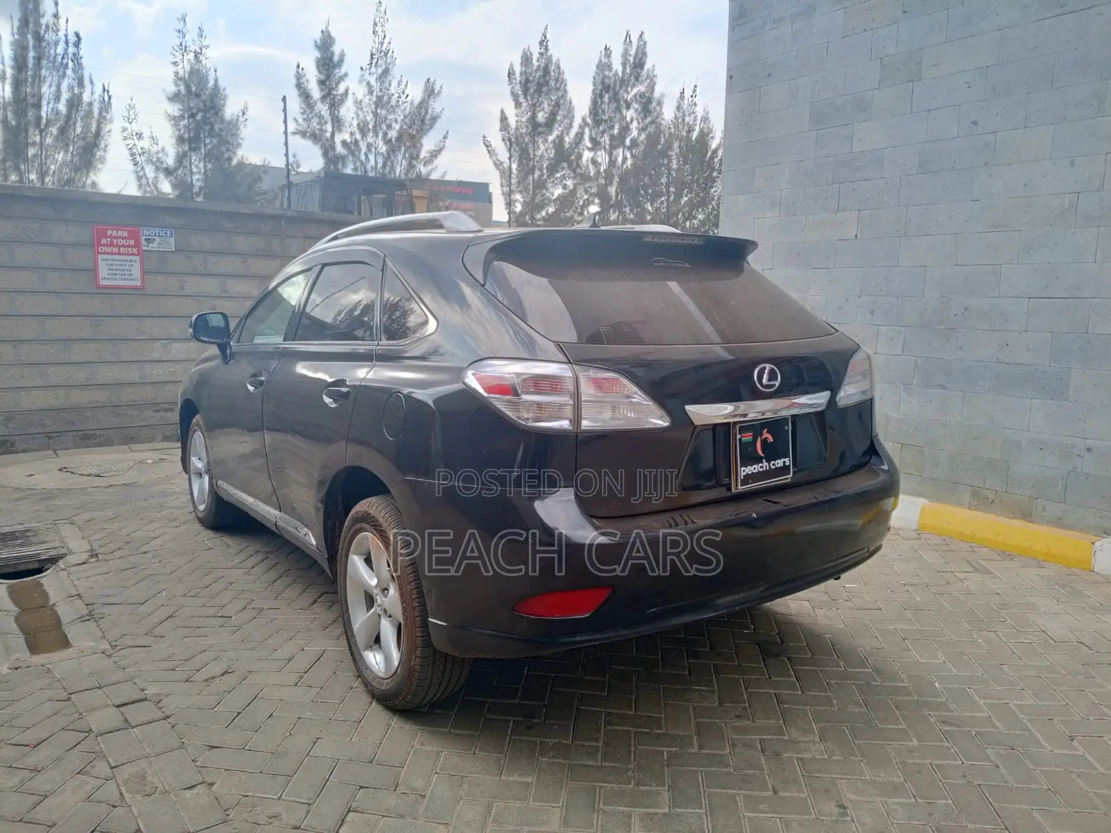 Lexus RX 2009 Black