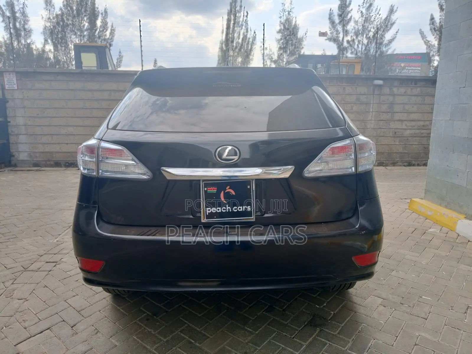 Lexus RX 2009 Black