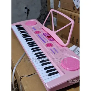 Professional Piano With In Built Battery