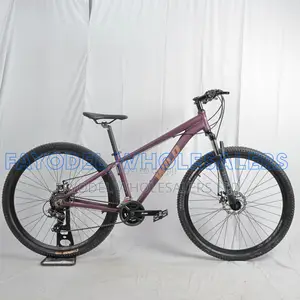 Wild Mountain Bike 29 Inch – Front Suspension Disc Brakes