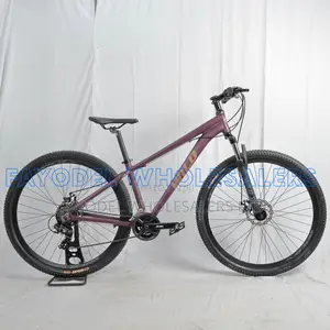 Premium Wild Mountain Bicycle 29"