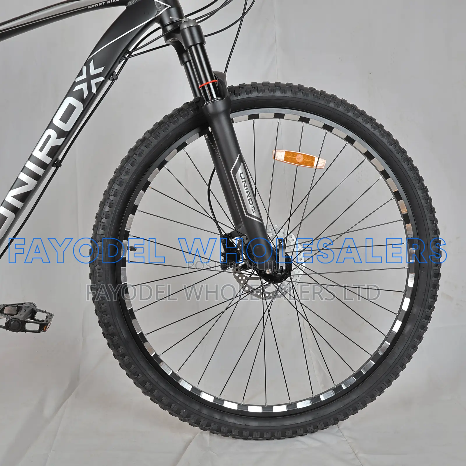 29-Inch Unirox Mountain Bike – Multi-Speed