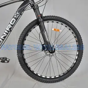 29-Inch Unirox Mountain Bike – Multi-Speed