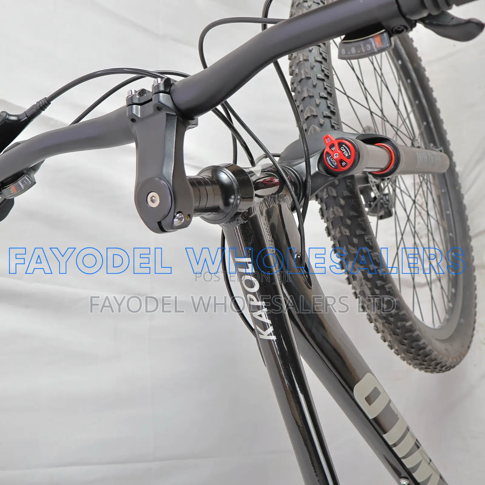 29-Inch Unirox Mountain Bike – Multi-Speed