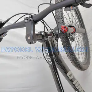 29-Inch Unirox Mountain Bike – Multi-Speed