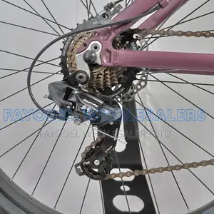Wild Mountain Bicycle for Men and Women