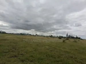 Ruiru Kamakis Mwalimu Farm Land for Sale. 1 Acre