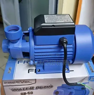 Heavy Duty 0.5hp Freevel Electric Booster Pump
