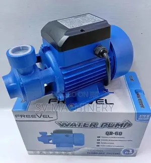 Heavy Duty 0.75hp Freevel Electric Booster Pump