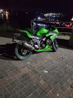 Kawasaki Ninja 300 2016 Green