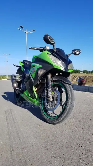 Kawasaki Ninja 300 2016 Green