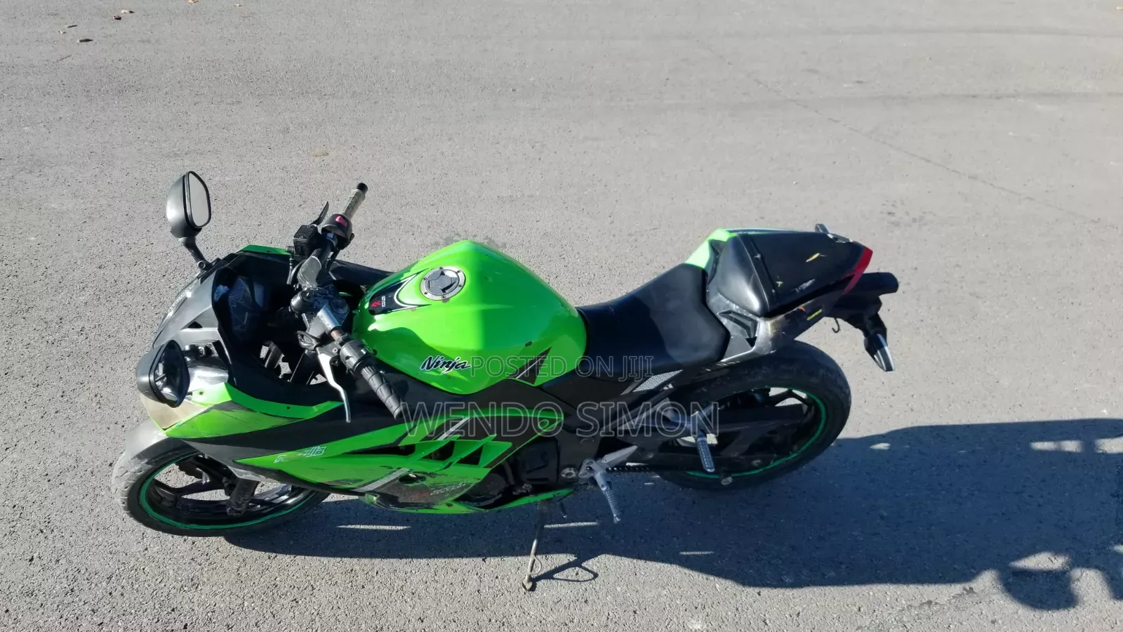 Kawasaki Ninja 300 2016 Green