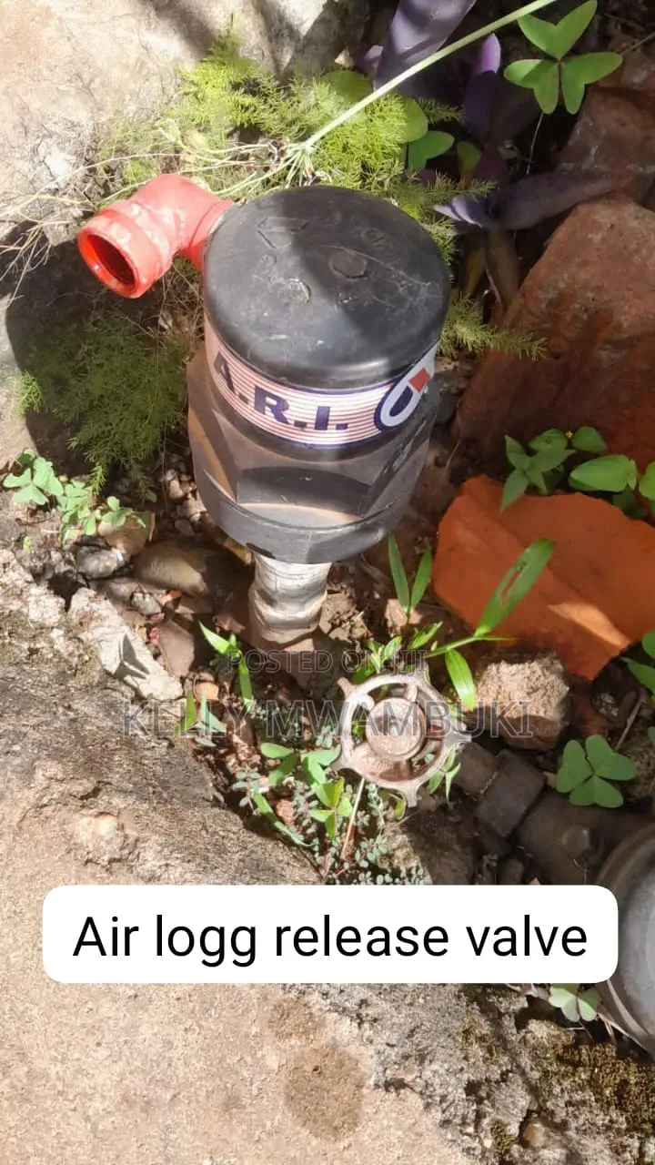 Plumbing Services