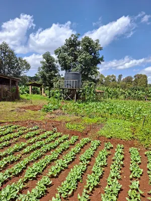 Prime Half an Acre on Sale at Karen